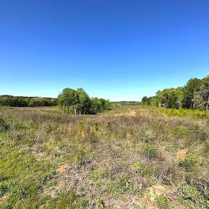 Photo #15 of SOLD property in Off Meherrin River Rd, Brodnax, VA 88.0 acres