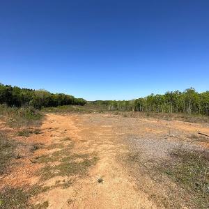 Photo #16 of SOLD property in Off Meherrin River Rd, Brodnax, VA 88.0 acres
