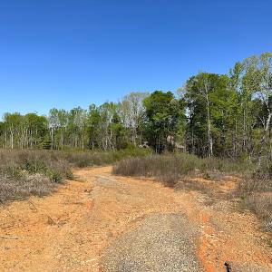 Photo #17 of SOLD property in Off Meherrin River Rd, Brodnax, VA 88.0 acres