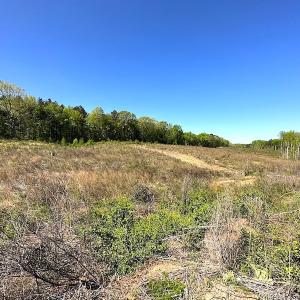 Photo #18 of SOLD property in Off Meherrin River Rd, Brodnax, VA 88.0 acres