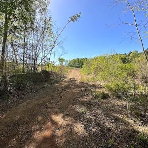 Photo #21 of SOLD property in Off Meherrin River Rd, Brodnax, VA 88.0 acres