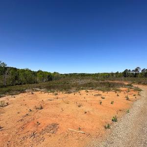 Photo #22 of SOLD property in Off Meherrin River Rd, Brodnax, VA 88.0 acres