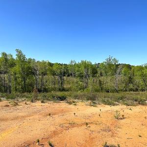 Photo #23 of SOLD property in Off Meherrin River Rd, Brodnax, VA 88.0 acres