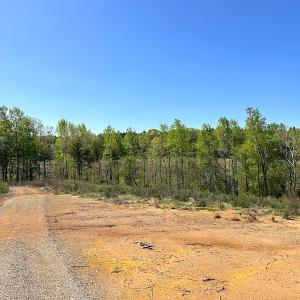 Photo #24 of SOLD property in Off Meherrin River Rd, Brodnax, VA 88.0 acres