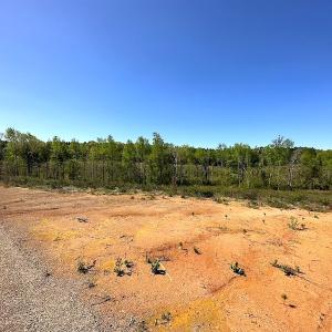 Photo #25 of SOLD property in Off Meherrin River Rd, Brodnax, VA 88.0 acres