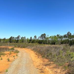 Photo #26 of SOLD property in Off Meherrin River Rd, Brodnax, VA 88.0 acres