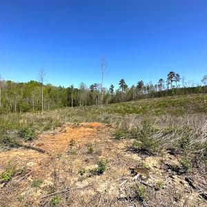 Photo #27 of SOLD property in Off Meherrin River Rd, Brodnax, VA 88.0 acres