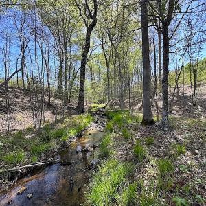 Photo #29 of SOLD property in Off Meherrin River Rd, Brodnax, VA 88.0 acres