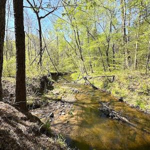 Photo #31 of SOLD property in Off Meherrin River Rd, Brodnax, VA 88.0 acres