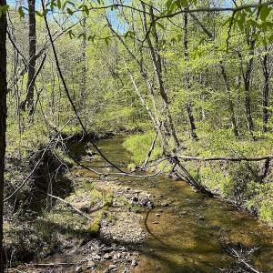 Photo #32 of SOLD property in Off Meherrin River Rd, Brodnax, VA 88.0 acres