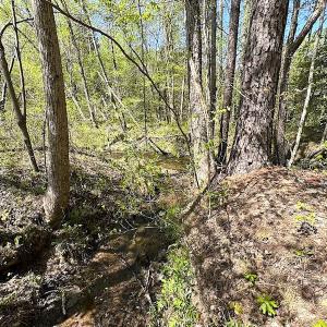 Photo #33 of SOLD property in Off Meherrin River Rd, Brodnax, VA 88.0 acres