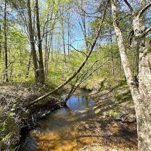 Photo #34 of SOLD property in Off Meherrin River Rd, Brodnax, VA 88.0 acres