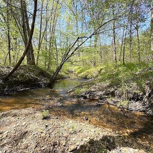 Photo #35 of SOLD property in Off Meherrin River Rd, Brodnax, VA 88.0 acres