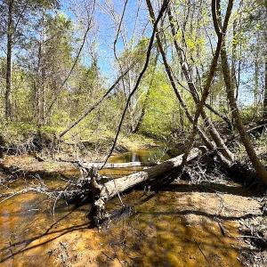 Photo #36 of SOLD property in Off Meherrin River Rd, Brodnax, VA 88.0 acres