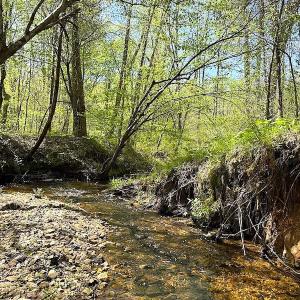 Photo #38 of SOLD property in Off Meherrin River Rd, Brodnax, VA 88.0 acres