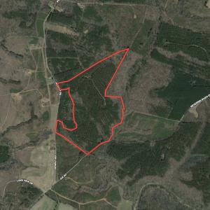 Photo #1 of Off Renrut Rd, Lunenburg, VA 104.0 acres