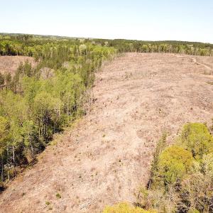 Photo #3 of Off Renrut Rd, Lunenburg, VA 104.0 acres