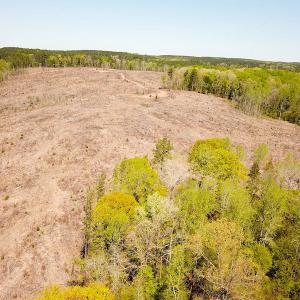 Photo #4 of Off Renrut Rd, Lunenburg, VA 104.0 acres