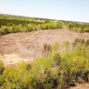 Photo #5 of Off Renrut Rd, Lunenburg, VA 104.0 acres