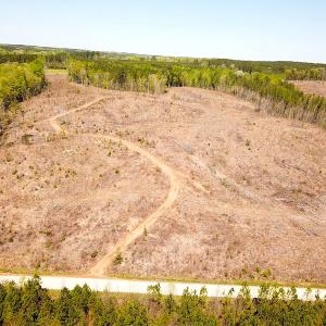 Photo #6 of Off Renrut Rd, Lunenburg, VA 104.0 acres