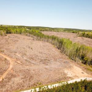 Photo #7 of Off Renrut Rd, Lunenburg, VA 104.0 acres