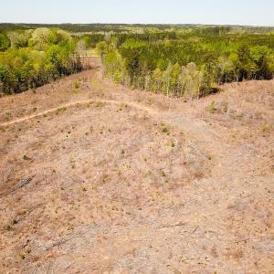 Photo #8 of Off Renrut Rd, Lunenburg, VA 104.0 acres