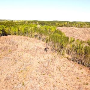 Photo #9 of Off Renrut Rd, Lunenburg, VA 104.0 acres