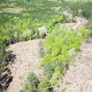 Photo #10 of Off Renrut Rd, Lunenburg, VA 104.0 acres