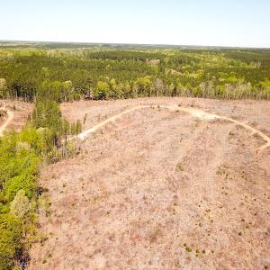 Photo #11 of Off Renrut Rd, Lunenburg, VA 104.0 acres