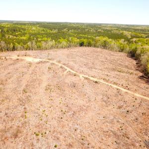 Photo #12 of Off Renrut Rd, Lunenburg, VA 104.0 acres