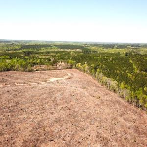 Photo #13 of Off Renrut Rd, Lunenburg, VA 104.0 acres