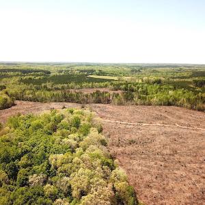 Photo #14 of Off Renrut Rd, Lunenburg, VA 104.0 acres