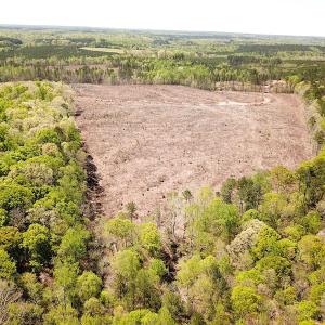 Photo #15 of Off Renrut Rd, Lunenburg, VA 104.0 acres