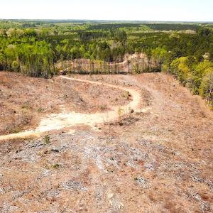 Photo #16 of Off Renrut Rd, Lunenburg, VA 104.0 acres