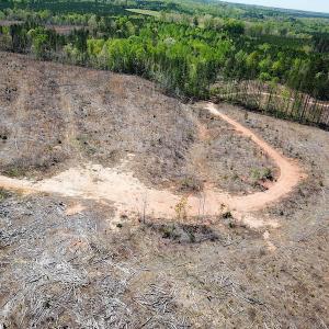 Photo #17 of Off Renrut Rd, Lunenburg, VA 104.0 acres
