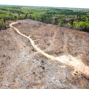 Photo #18 of Off Renrut Rd, Lunenburg, VA 104.0 acres