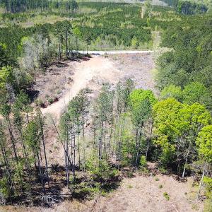 Photo #19 of Off Renrut Rd, Lunenburg, VA 104.0 acres