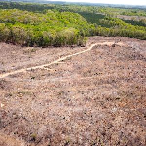 Photo #21 of Off Renrut Rd, Lunenburg, VA 104.0 acres