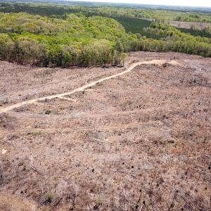 Photo #22 of Off Renrut Rd, Lunenburg, VA 104.0 acres