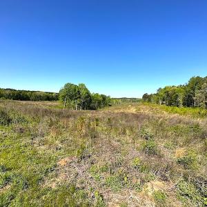 Photo #23 of Off Renrut Rd, Lunenburg, VA 104.0 acres