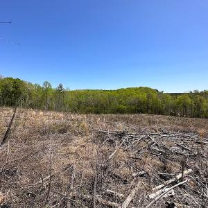 Photo #24 of Off Renrut Rd, Lunenburg, VA 104.0 acres
