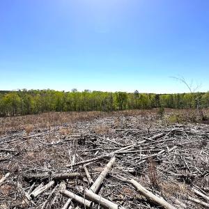 Photo #25 of Off Renrut Rd, Lunenburg, VA 104.0 acres