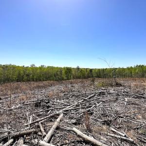 Photo #26 of Off Renrut Rd, Lunenburg, VA 104.0 acres