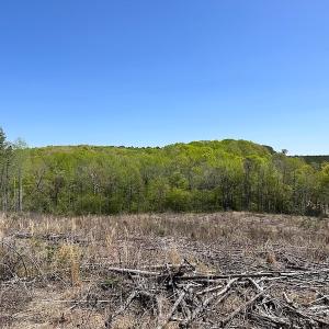 Photo #28 of Off Renrut Rd, Lunenburg, VA 104.0 acres