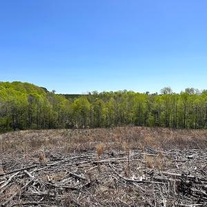 Photo #29 of Off Renrut Rd, Lunenburg, VA 104.0 acres