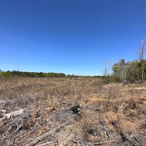Photo #30 of Off Renrut Rd, Lunenburg, VA 104.0 acres