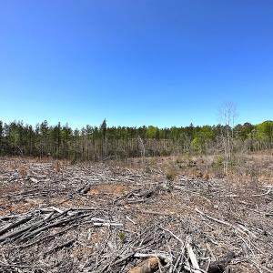 Photo #31 of Off Renrut Rd, Lunenburg, VA 104.0 acres