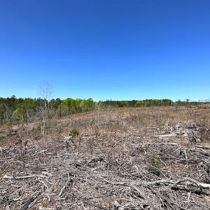 Photo #32 of Off Renrut Rd, Lunenburg, VA 104.0 acres
