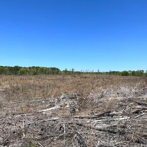 Photo #33 of Off Renrut Rd, Lunenburg, VA 104.0 acres