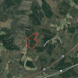 Photo #34 of Off Renrut Rd, Lunenburg, VA 104.0 acres